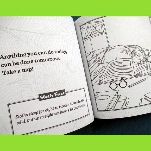 Book: Life Lessons from a Sloth, by Heneghan, Mills, & Sturgeon - Picture 6 of 13